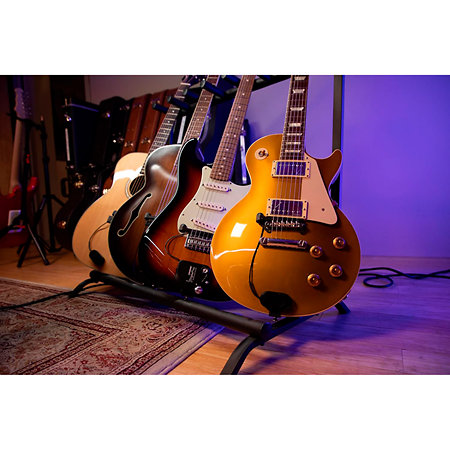 Fishman Triple Play express