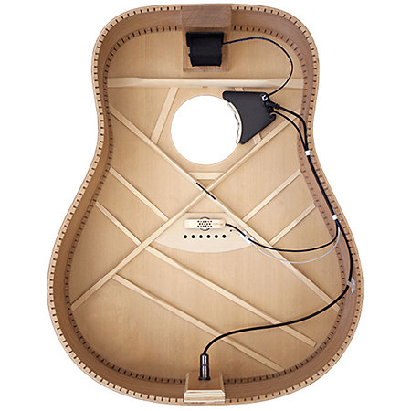 Micro Anthem LR Baggs