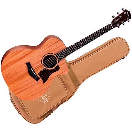 Taylor 24ce + Housse