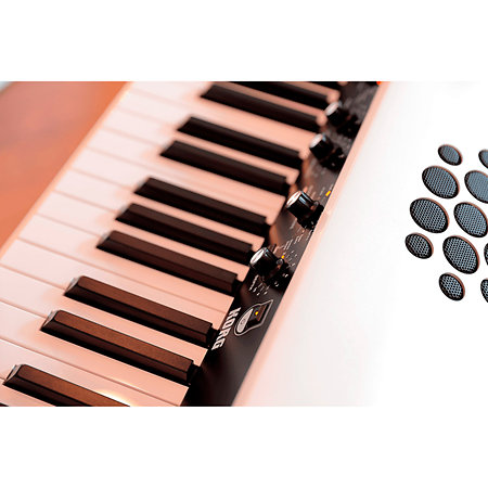 Pack SV2S-88 + Stand Korg