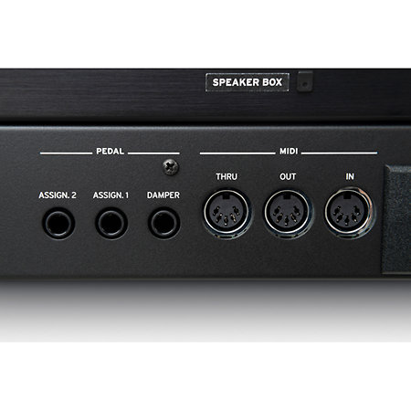 Pack Pa5X 76 + Enceinte Korg