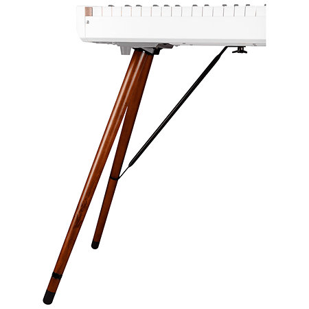 Pack PolyBrute 12 + Stand Bois Keylab 88 mkII Arturia