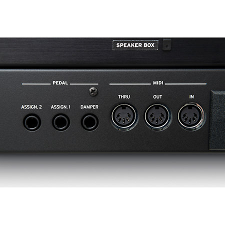 Pack Pa5X 88 + Enceinte Korg