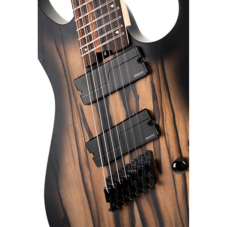 KX507MS Pale Moon Natural Black Burst Cort
