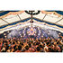 Canon à Confettis Manuel 50cm Bleu Blanc Showgear