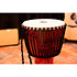 PADJ1XL Pharao's Script Synthetic 14" Meinl