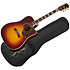 Hummingbird Deluxe EC Autumn Burst Epiphone
