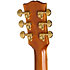 Hummingbird Deluxe EC Autumn Burst Epiphone