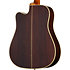 Hummingbird Deluxe EC Autumn Burst Epiphone