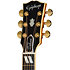 Hummingbird Deluxe EC Autumn Burst Epiphone