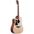 V40LCE Open Pore Natural Left Ibanez