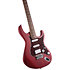 G110 Open Pore Bordeaux Cort