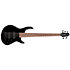 C5 Deluxe Black Cort