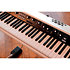 Pack SV2S-88 + Stand Korg