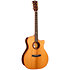 Gold-A10 Cocobolo Naturel Brillant Cort