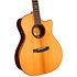 Gold-A10 Cocobolo Naturel Brillant Cort
