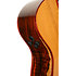 Gold-A10 Cocobolo Naturel Brillant Cort