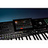 Pack Pa5X 61 + Enceinte Korg