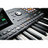 Pack Pa5X 76 + Enceinte Korg