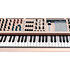 Pack PolyBrute 12 + Stand Bois Keylab 88 mkII Arturia