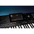 Pack Pa5X 88 + Enceinte Korg