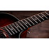 322ce 12 Fret Taylor