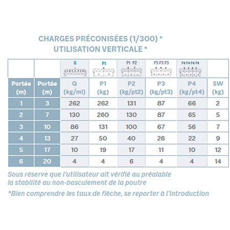 EX 29100 Structure échelle 290mm x 1m ASD