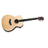 GA8 Taylor