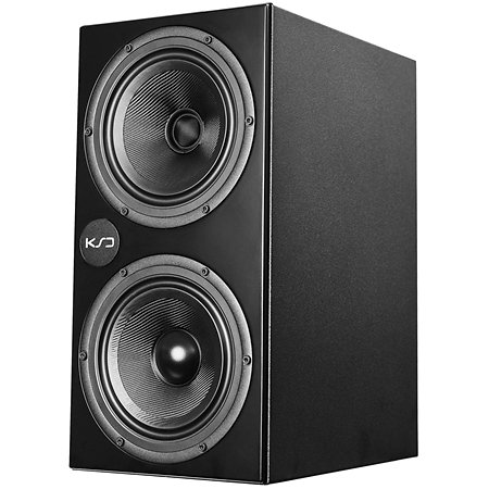 C-55 Reference Black (la paire) KS Digital