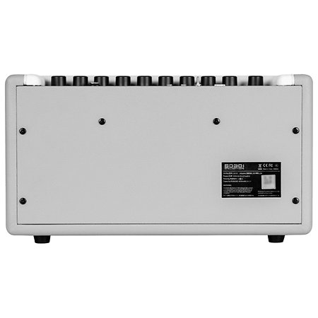 SD30I 30W 2X4" Blanc Mooer