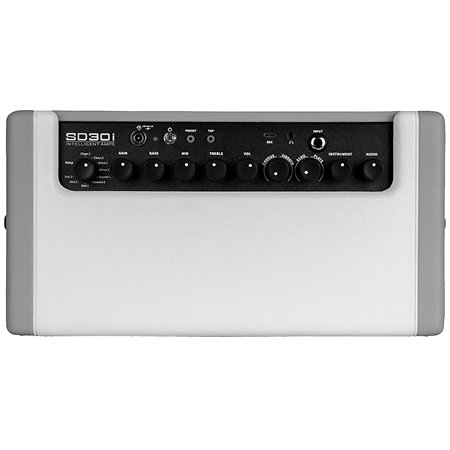 SD30I 30W 2X4" Blanc Mooer