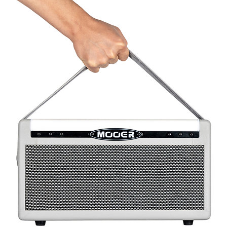 SD30I 30W 2X4" Blanc Mooer
