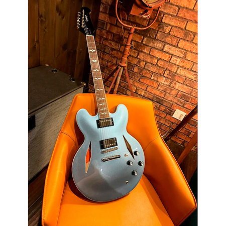 Pack DG-335 Dave Grohl Signature + Etui + DSL5C Combo + Câble Jack Mâle Mono Epiphone