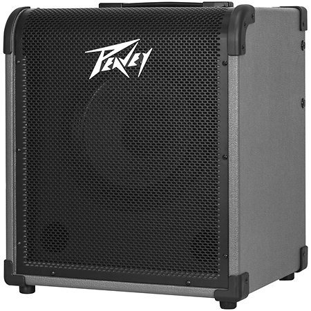 Peavey Max 100