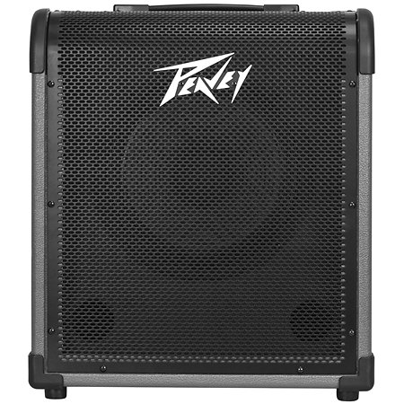 Peavey Max 100