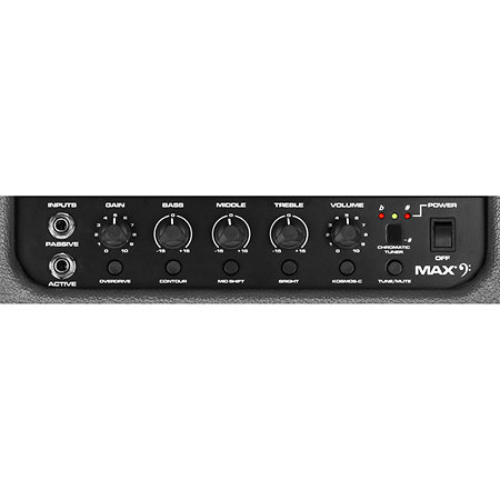 Max 100 Peavey