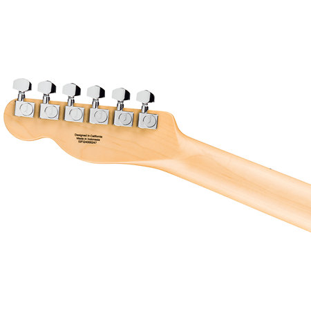 Pack Standard Telecaster MN Butterscotch Blonde + Tone Master Pro + Câble Jack Mâle Mono Fender
