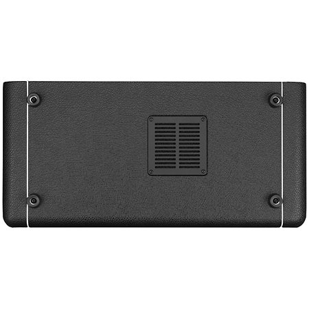 Digbeth DB-EAST 2x500W Nathan East Laney