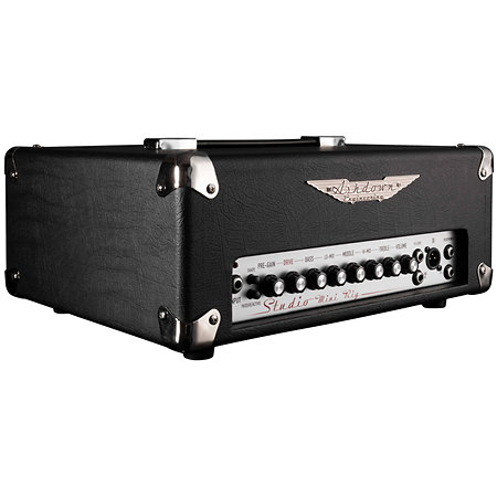 Ashdown Studio Mini Head 250 W