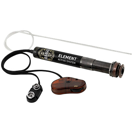 LR Baggs Element Active System EAS