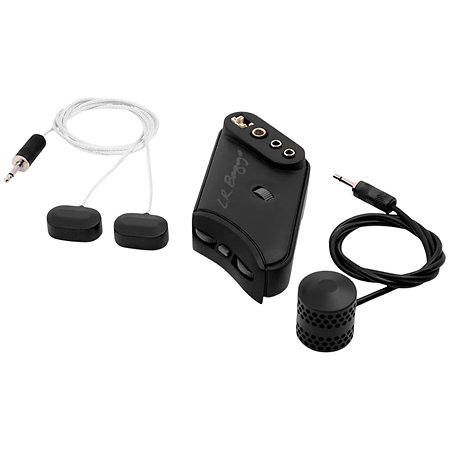 LR Baggs HiFi Duet Bridge