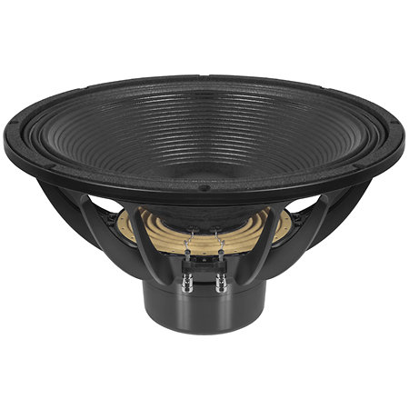 18DS100 4 Ohm B&C Speakers