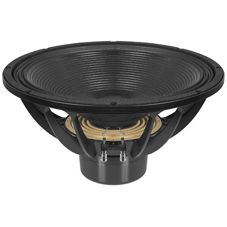 18DS100 8 Ohm B&C Speakers