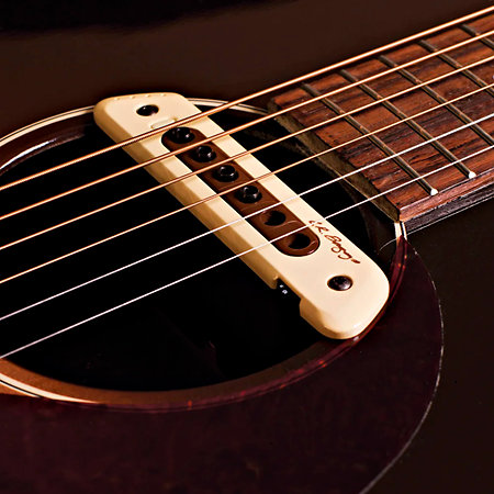 M80 LR Baggs