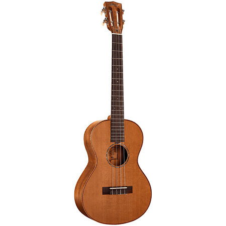 MM4E Master Baryton Électro Naturel + Housse Mahalo