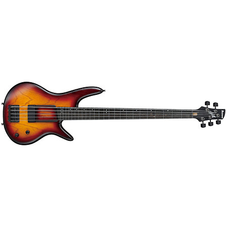 GWB205-TQF Gary Willis Ibanez