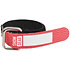 Attache-câble 120 mm x 10 mm Lot de 10 Rouge Showgear
