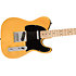 Pack Affinity Telecaster MN Butterscotch Blonde + DSL5C Combo + Câble Jack Mâle Mono Squier by FENDER
