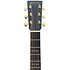 GPE Inception M2 Maple Gloss 2025 + Etui Martin Guitars