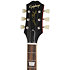 Pack Joe Bonamassa 1955 Les Paul Standard Copper Iridescent + Etui + DSL5C Combo + Câble Jack Mâle Mono Epiphone